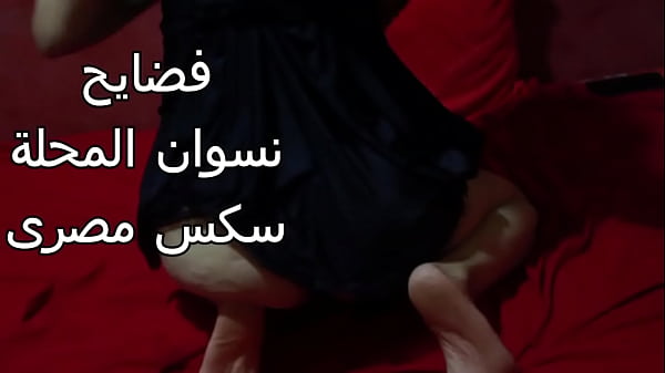 مصريه شرموطه طيزها كبيره عايزه تتناك بقوه