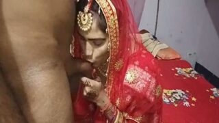 Istri Sange Lagi Ngewe Kontol Di Malam Karwa Chauth, Biru Panas Banget