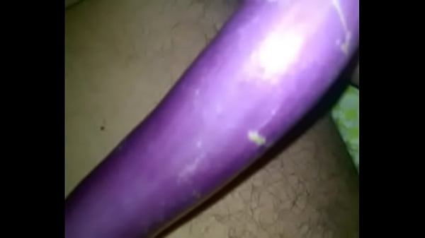 Shonu Si Brinjal India Montok, Siap Diperas Sari Patinya Sampai Puas.