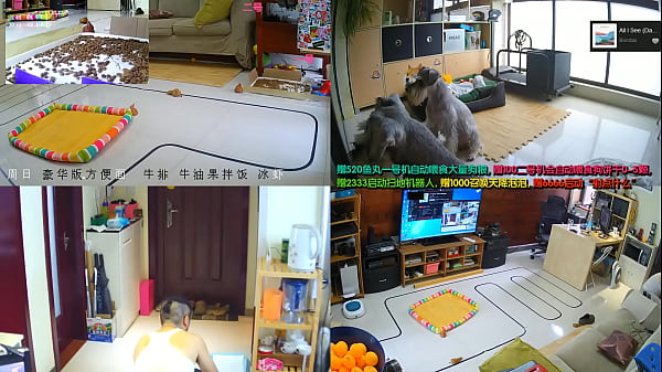 Cewek Live China Lagi Goyang-goyang, Bikin Anget Sendiri, Crot Di Depan Mata!