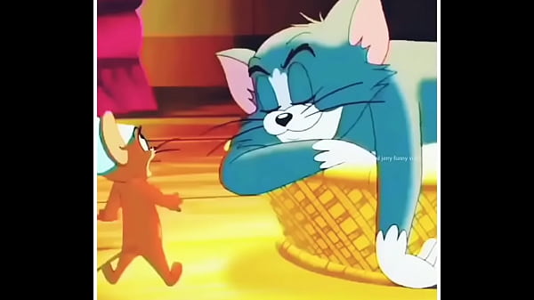 Tom Sama Jerry, Anjing Dan Kucing Lagi Crot-crotan Di Ranjang, Saling Jilat-jilatan Sampai Basah Kuyup.